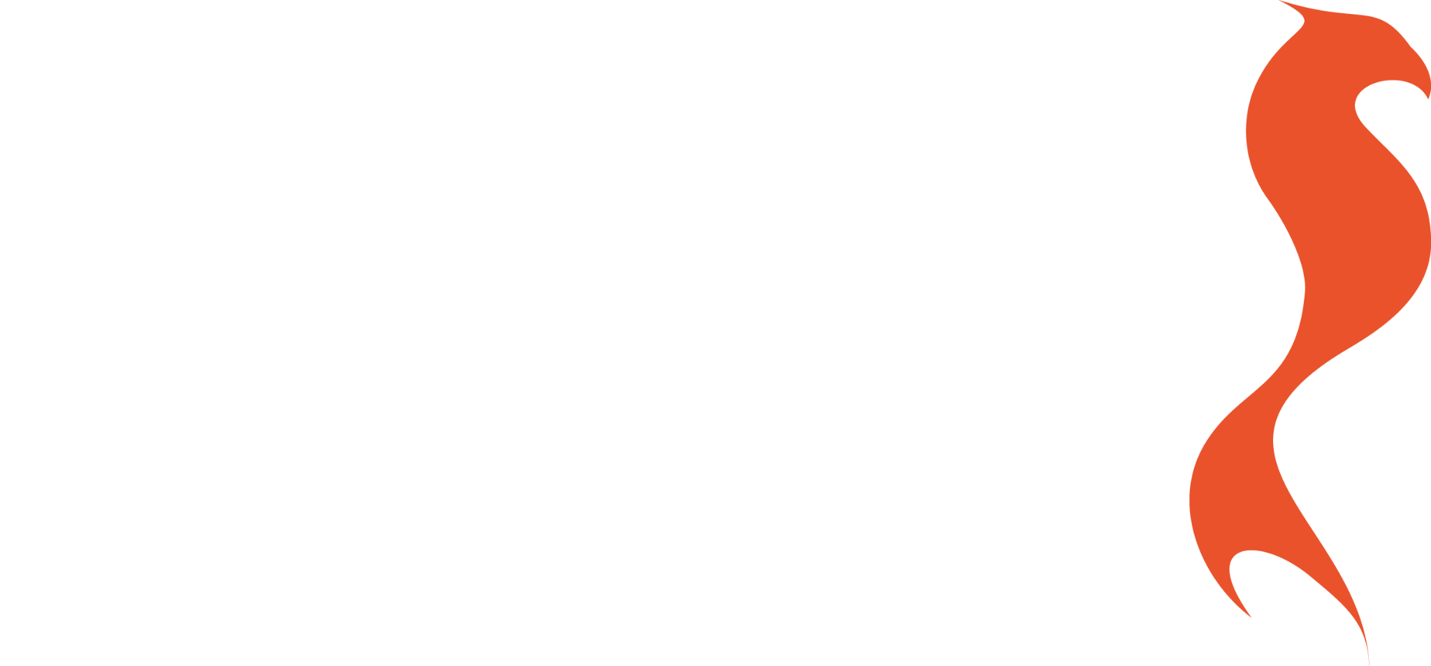 Logo Feniks